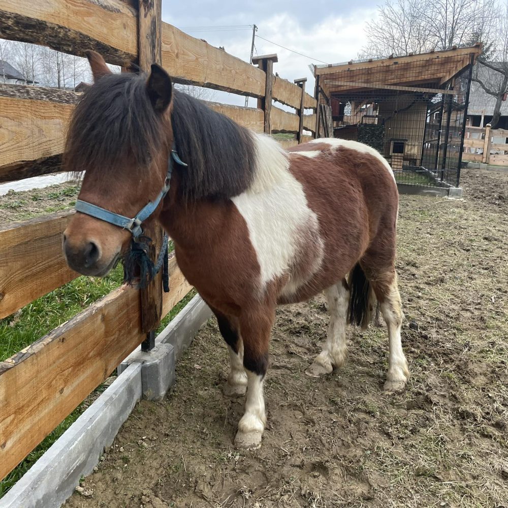 487821850_2018667025211551_8346010056670576522_n