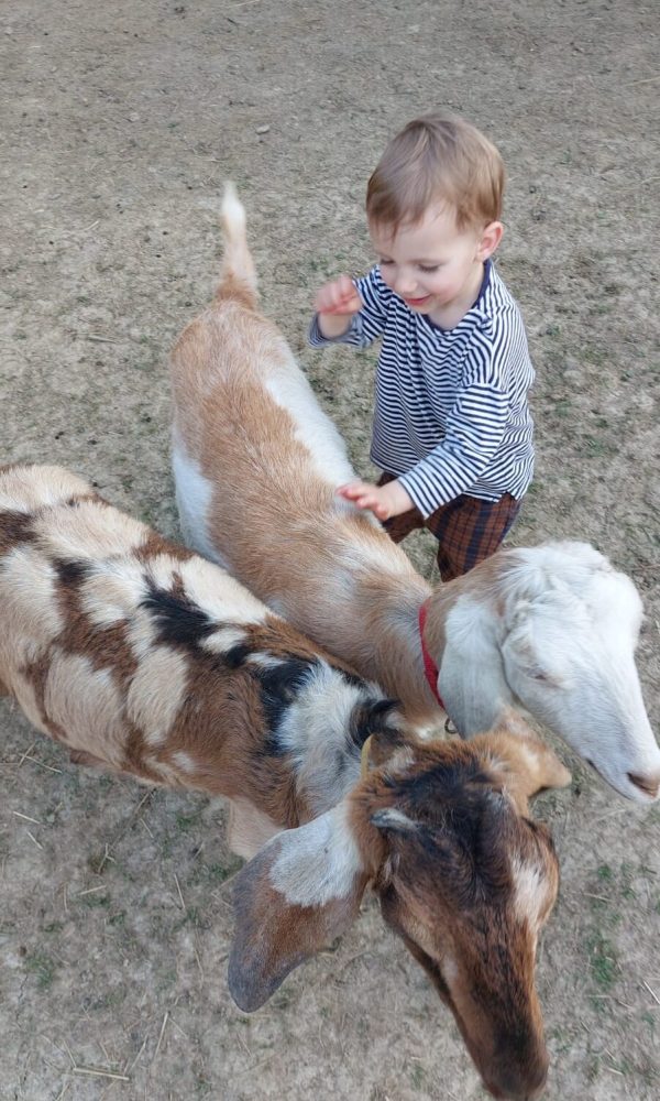 Zdjęcie WhatsApp 2025-05-22 o 10.45.02_ac8958d3