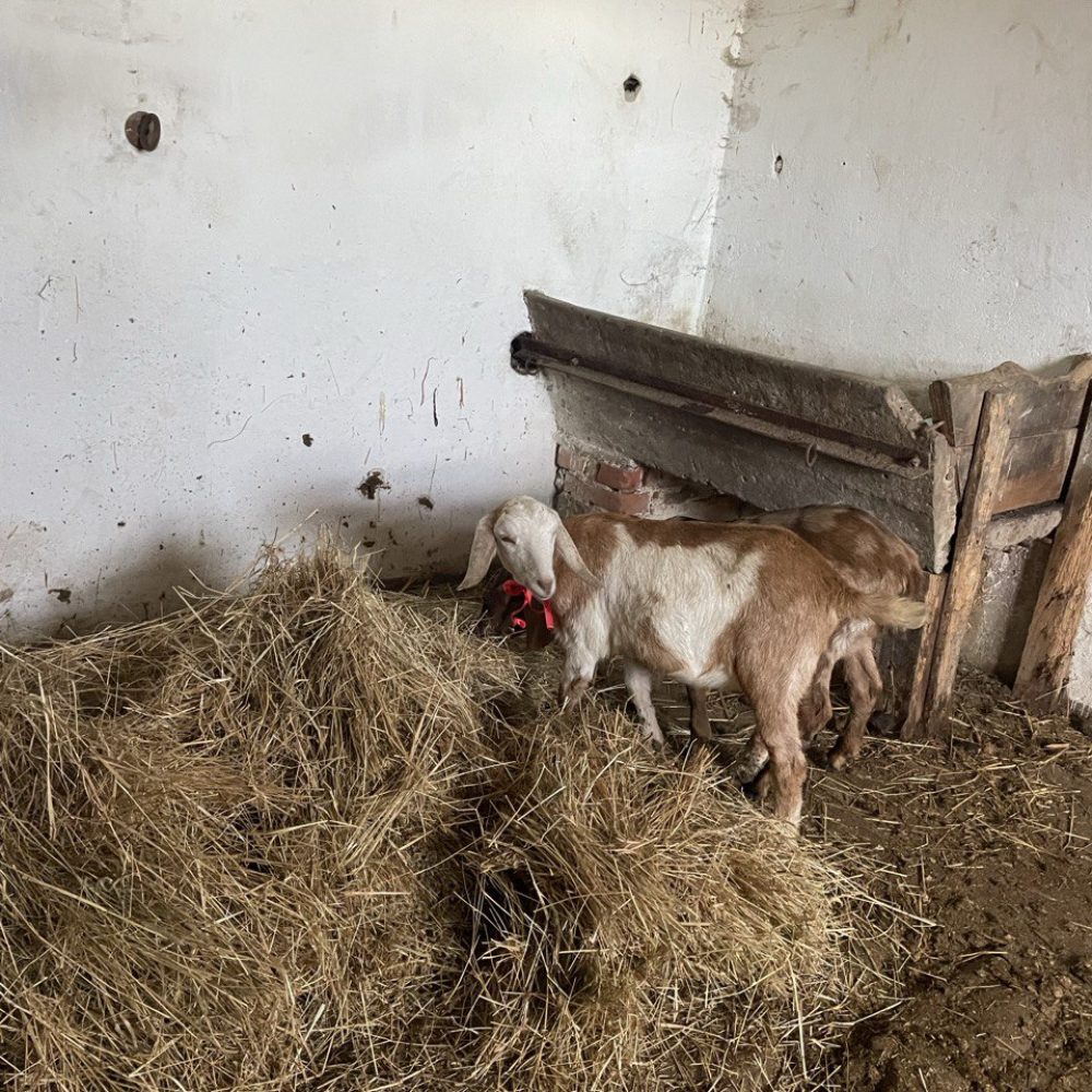 photo_2025-05-22_12-31-31